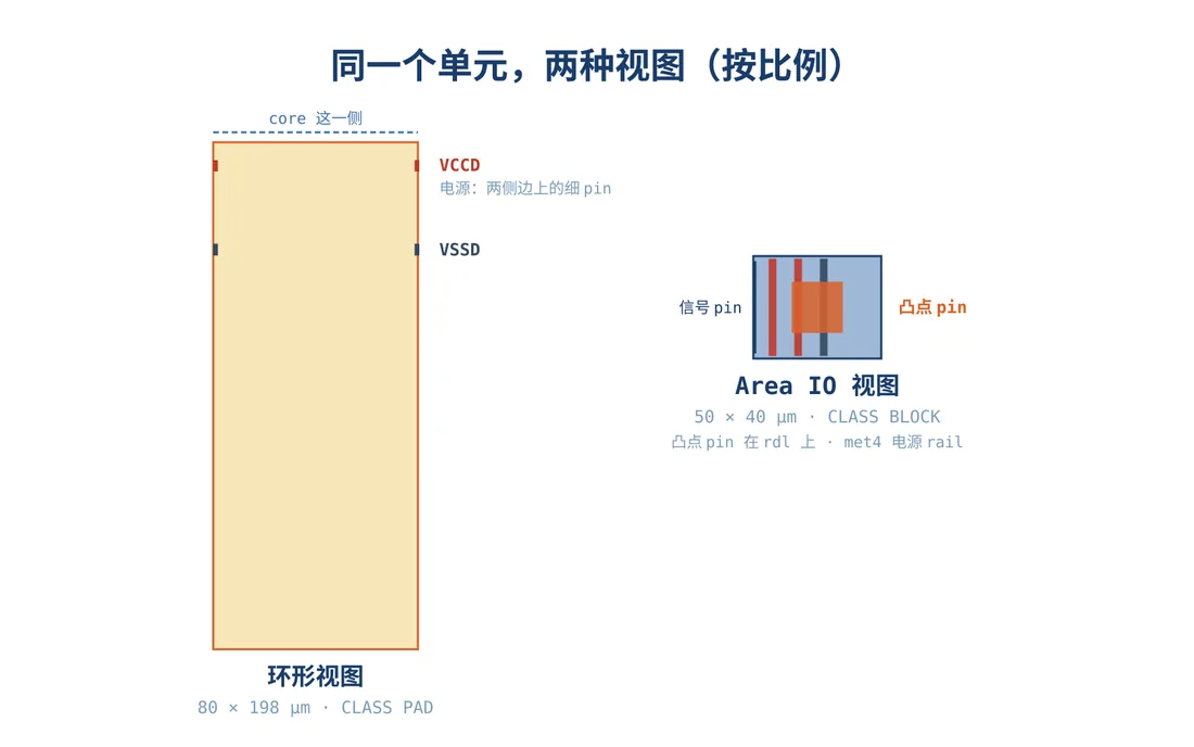 同一个单元的两种视图,按比例:80 × 198 µm 的环形单元,与 50 × 40 µm 的 area IO 视图。